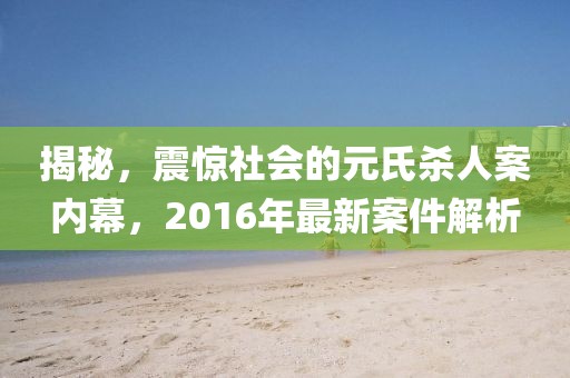 揭秘，震驚社會的元氏殺人案內(nèi)幕，2016年最新案件解析
