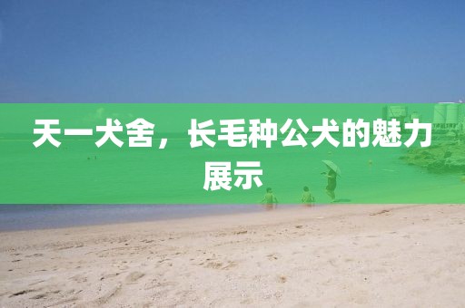 天一犬舍，長(zhǎng)毛種公犬的魅力展示