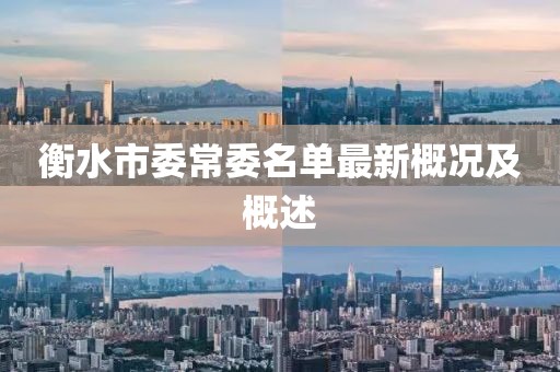 衡水市委常委名單最新概況及概述