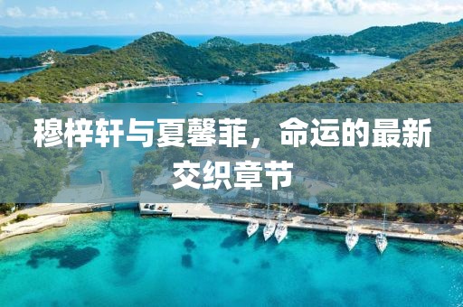 穆梓軒與夏馨菲，命運(yùn)的最新交織章節(jié)