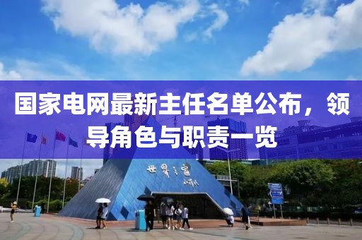 國(guó)家電網(wǎng)最新主任名單公布，領(lǐng)導(dǎo)角色與職責(zé)一覽