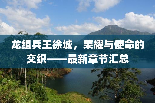 龍組兵王徐城，榮耀與使命的交織——最新章節(jié)匯總