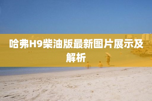 哈弗H9柴油版最新圖片展示及解析