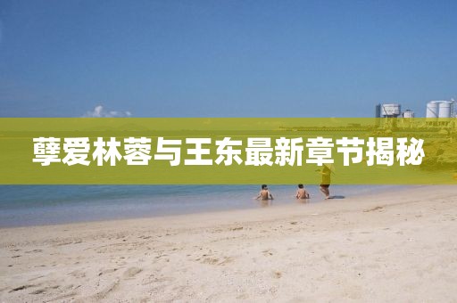 孽愛(ài)林蓉與王東最新章節(jié)揭秘