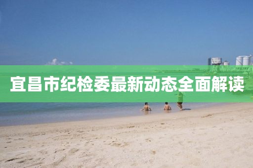 宜昌市紀(jì)檢委最新動態(tài)全面解讀