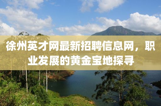徐州英才網(wǎng)最新招聘信息網(wǎng)，職業(yè)發(fā)展的黃金寶地探尋