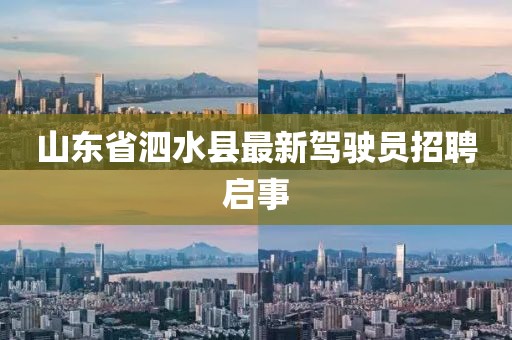 山東省泗水縣最新駕駛員招聘啟事