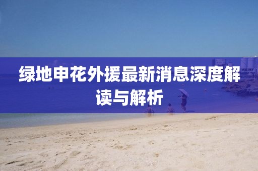 綠地申花外援最新消息深度解讀與解析