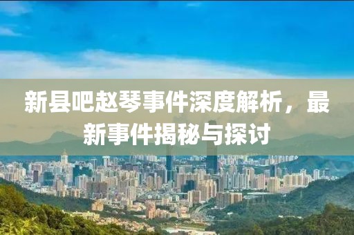 新縣吧趙琴事件深度解析，最新事件揭秘與探討