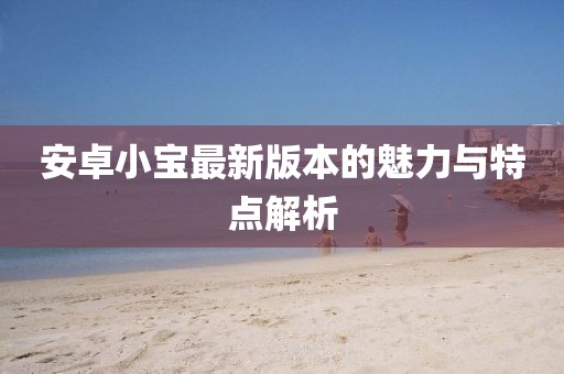 安卓小寶最新版本的魅力與特點解析