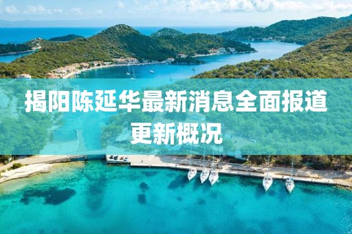 揭陽(yáng)陳延華最新消息全面報(bào)道更新概況