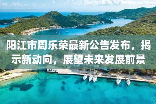 陽江市周樂榮最新公告發(fā)布，揭示新動向，展望未來發(fā)展前景