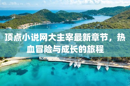 頂點(diǎn)小說網(wǎng)大主宰最新章節(jié)，熱血冒險(xiǎn)與成長的旅程