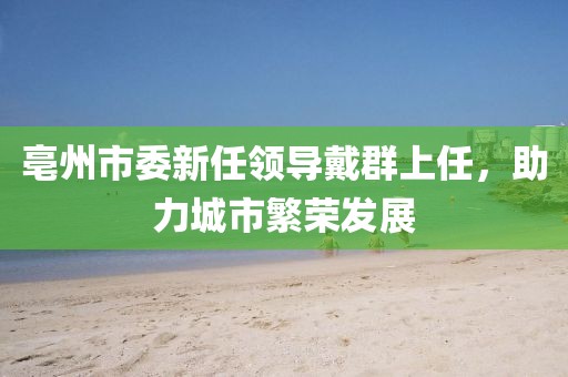 亳州市委新任領導戴群上任，助力城市繁榮發(fā)展