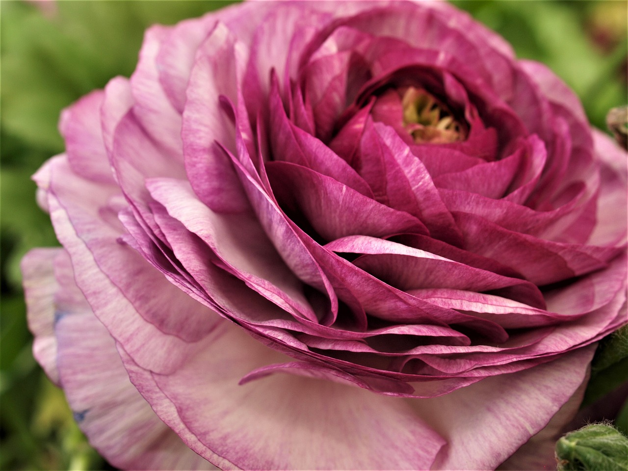 東和環(huán)保引領(lǐng)綠色發(fā)展，先鋒力量展現(xiàn)最新環(huán)保動(dòng)態(tài)