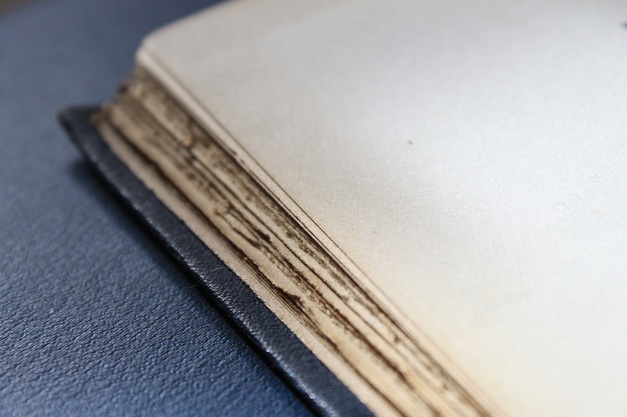 笑我太癡狂 第26頁(yè)