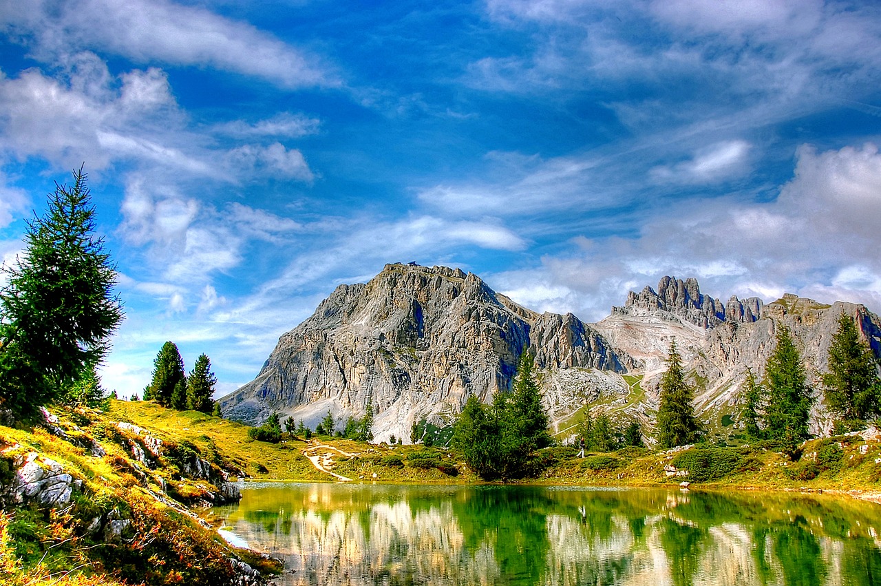 上海重塑城市風(fēng)貌與居住環(huán)境，商住整頓最新動態(tài)積極行動報道