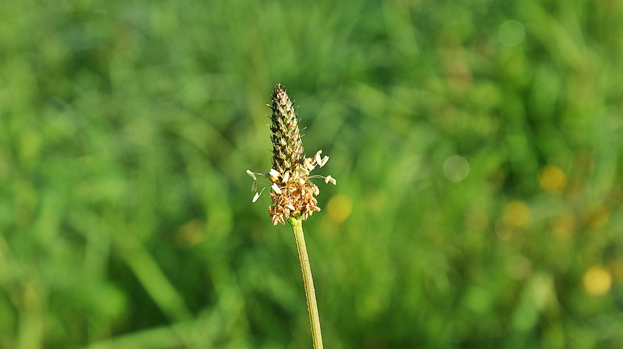 泰安南湖麗景最新動態(tài)揭秘，城市新篇章的璀璨綻放