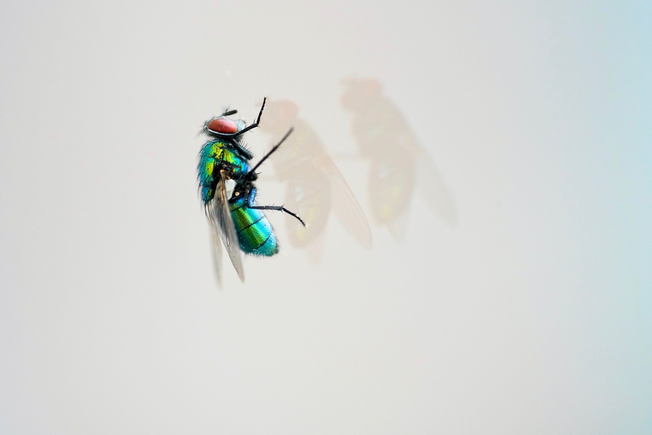 天天炫斗血爺戰(zhàn)力傲視群雄，最新戰(zhàn)力震撼來襲