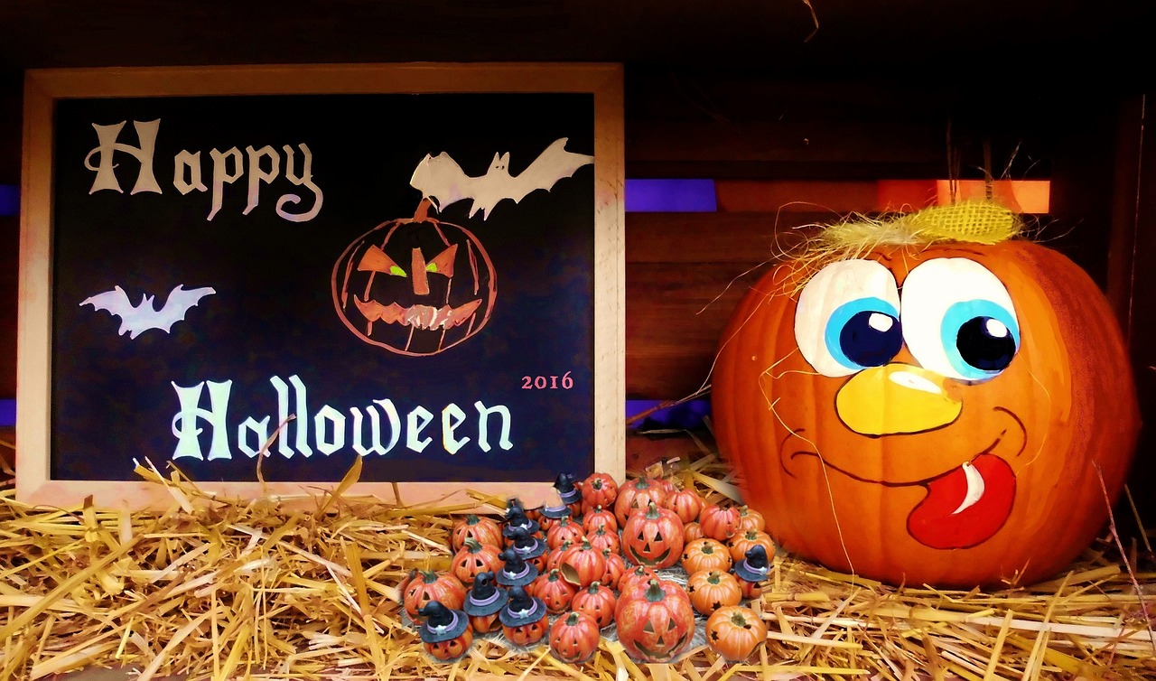 凱里張淼最新動態(tài)揭秘，探尋神秘面紗下的最新消息