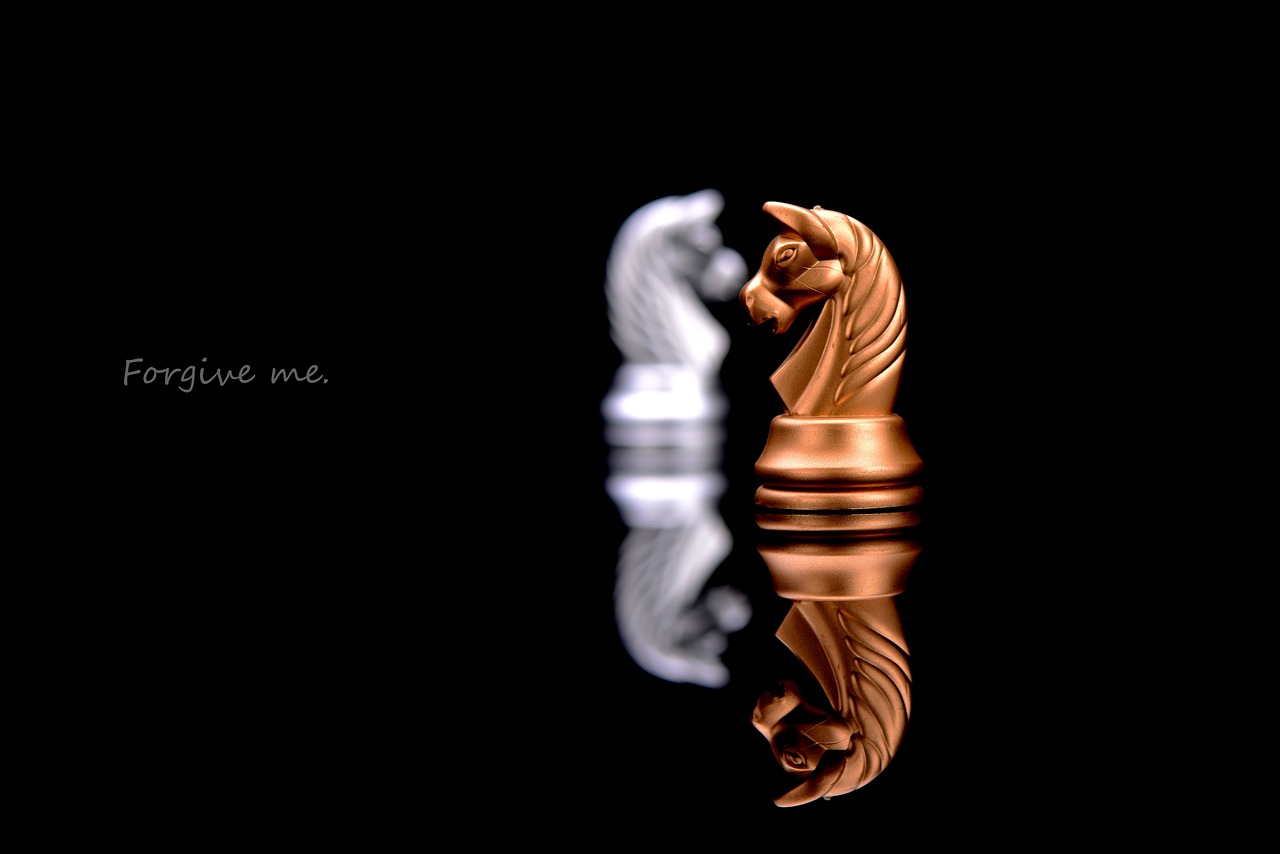 舟山沉船事件最新動(dòng)態(tài)，全面解析事件進(jìn)展與后續(xù)關(guān)注