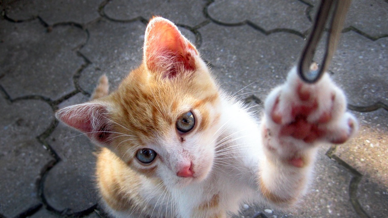 山大搬遷最新動(dòng)態(tài)，邁向新征程，開(kāi)啟新篇章