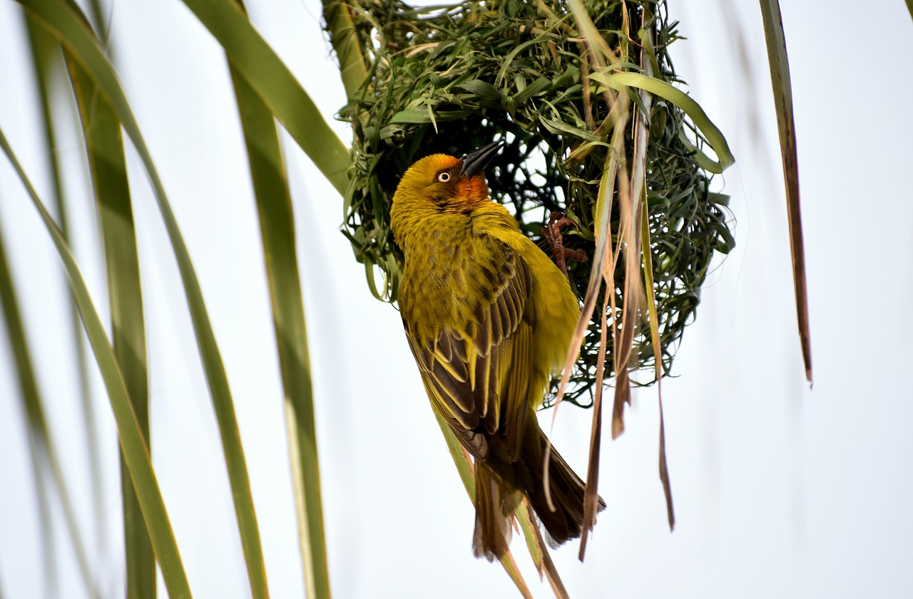 東莞建暉紙業(yè)最新招聘動態(tài)及職業(yè)發(fā)展探討，招聘信息與職業(yè)發(fā)展機(jī)會一覽