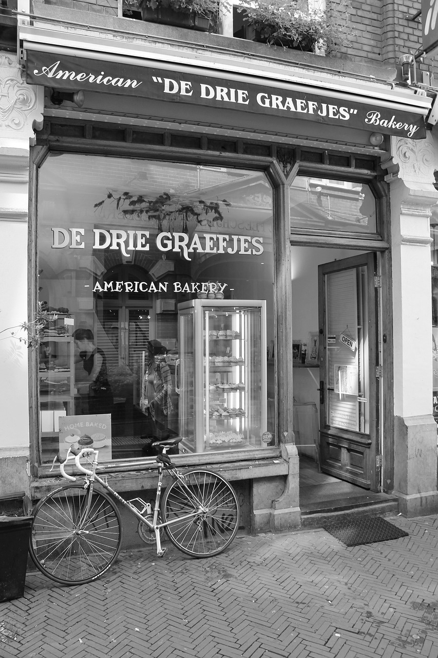 鳳翔湖濱世紀(jì)最新動態(tài)，成為城市發(fā)展的璀璨明珠