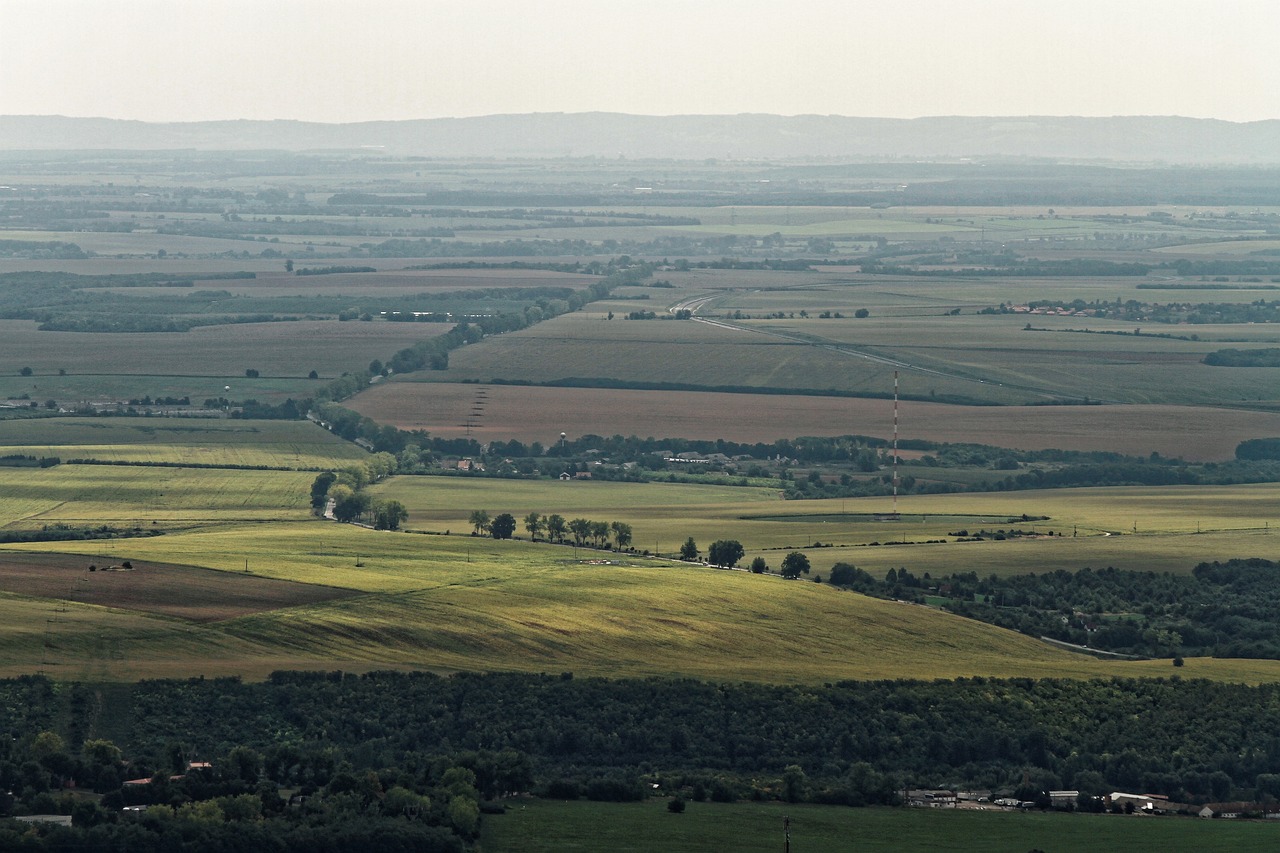 遼寧土地確權(quán)最新進展概況