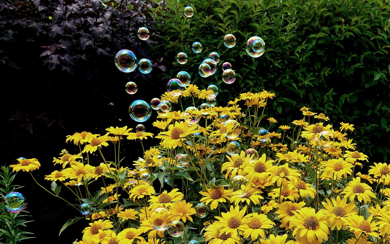 沈陽(yáng)京東招聘網(wǎng)最新招聘動(dòng)態(tài)深度解析與招聘信息匯總