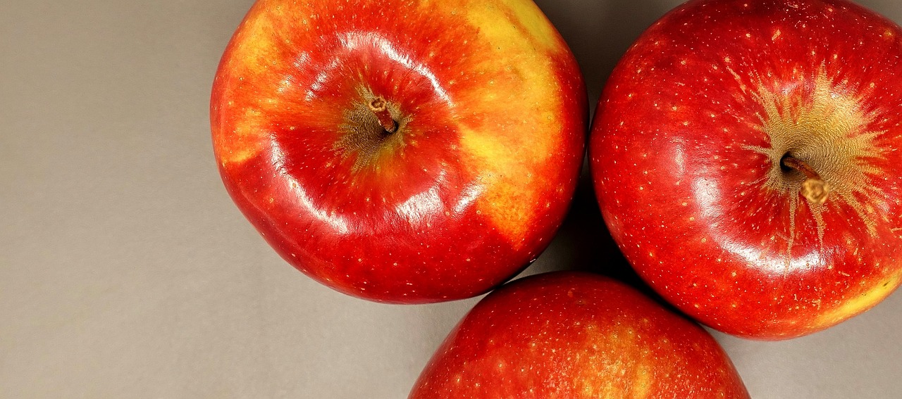 濰坊巴塞小鎮(zhèn)最新動(dòng)態(tài)，揭開(kāi)魅力小鎮(zhèn)新篇章