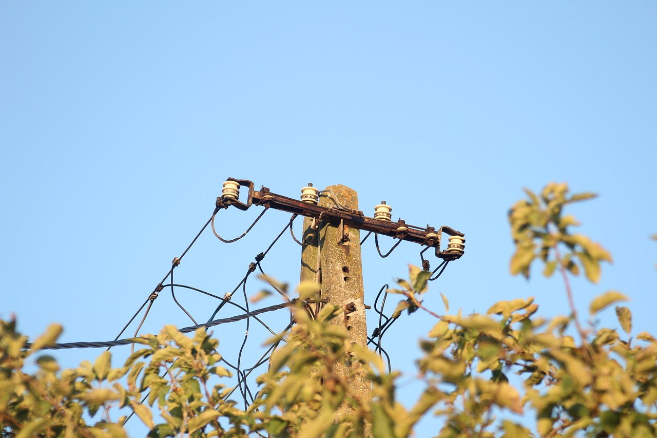 臨海嶺根村最新動態(tài)更新