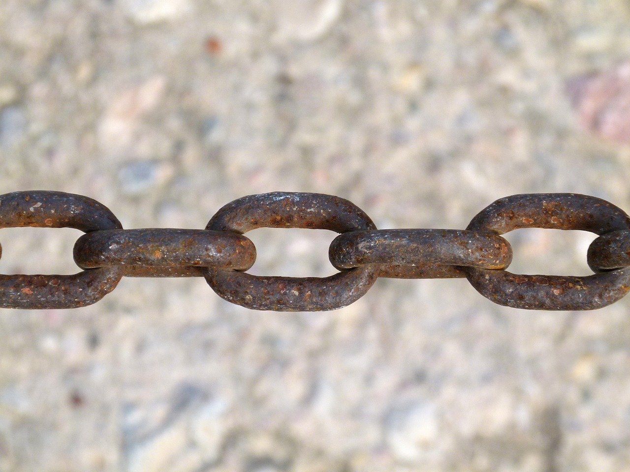 李仕軍在旺蒼的最新動態(tài)，推動地方發(fā)展，展現(xiàn)新面貌