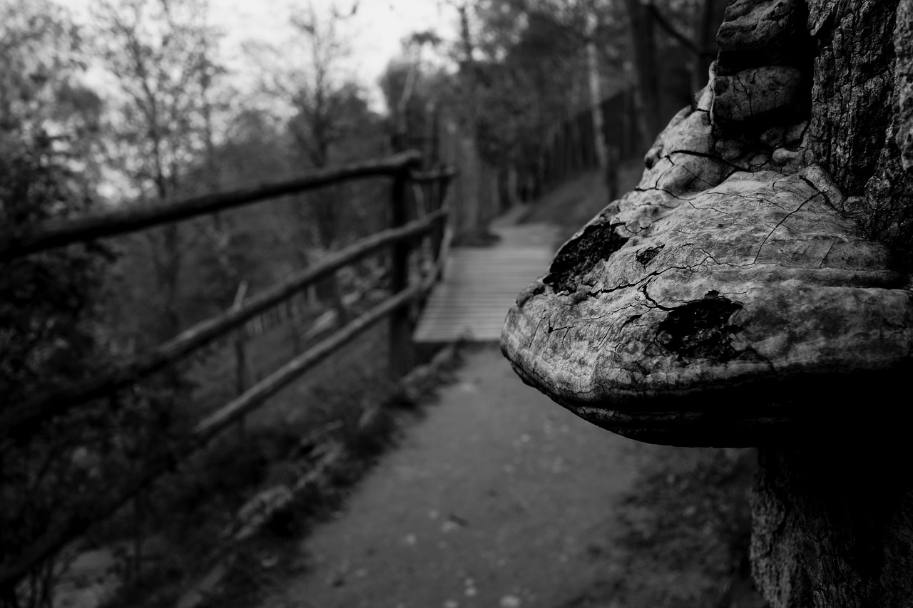 九江瞰江郡最新動(dòng)態(tài)更新，九江瞰江郡最新?tīng)顩r速遞