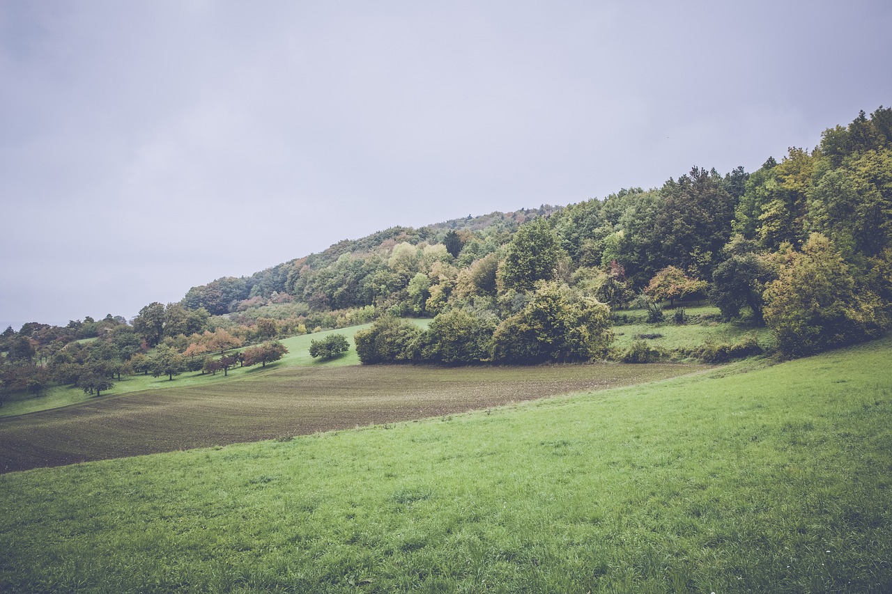 上港孫祥最新動態(tài)及未來展望，賽場內(nèi)外的關(guān)注焦點
