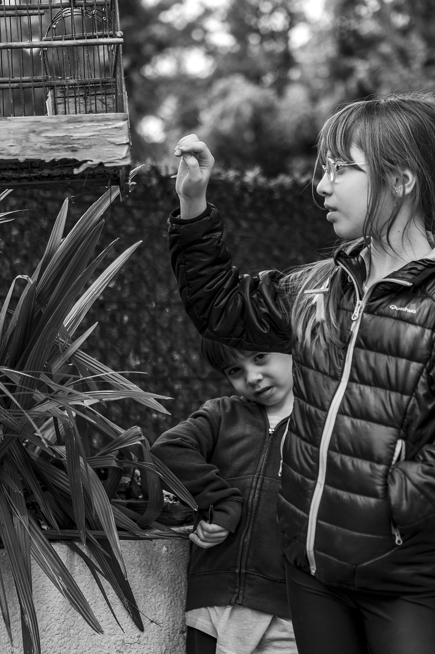 自然與科技融合的未來探索，自然界云棲最新動態(tài)揭秘