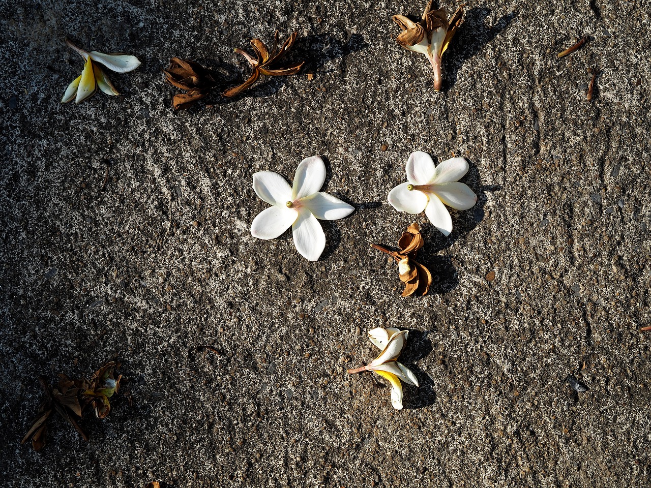 昭通方宗輝最新消息全面解析與動態(tài)更新