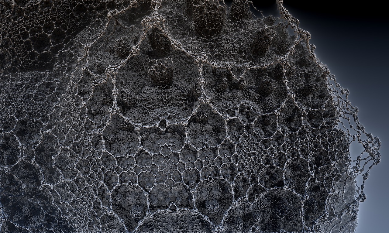 邵陽黃建民最新動態(tài)，風云人物嶄新篇章