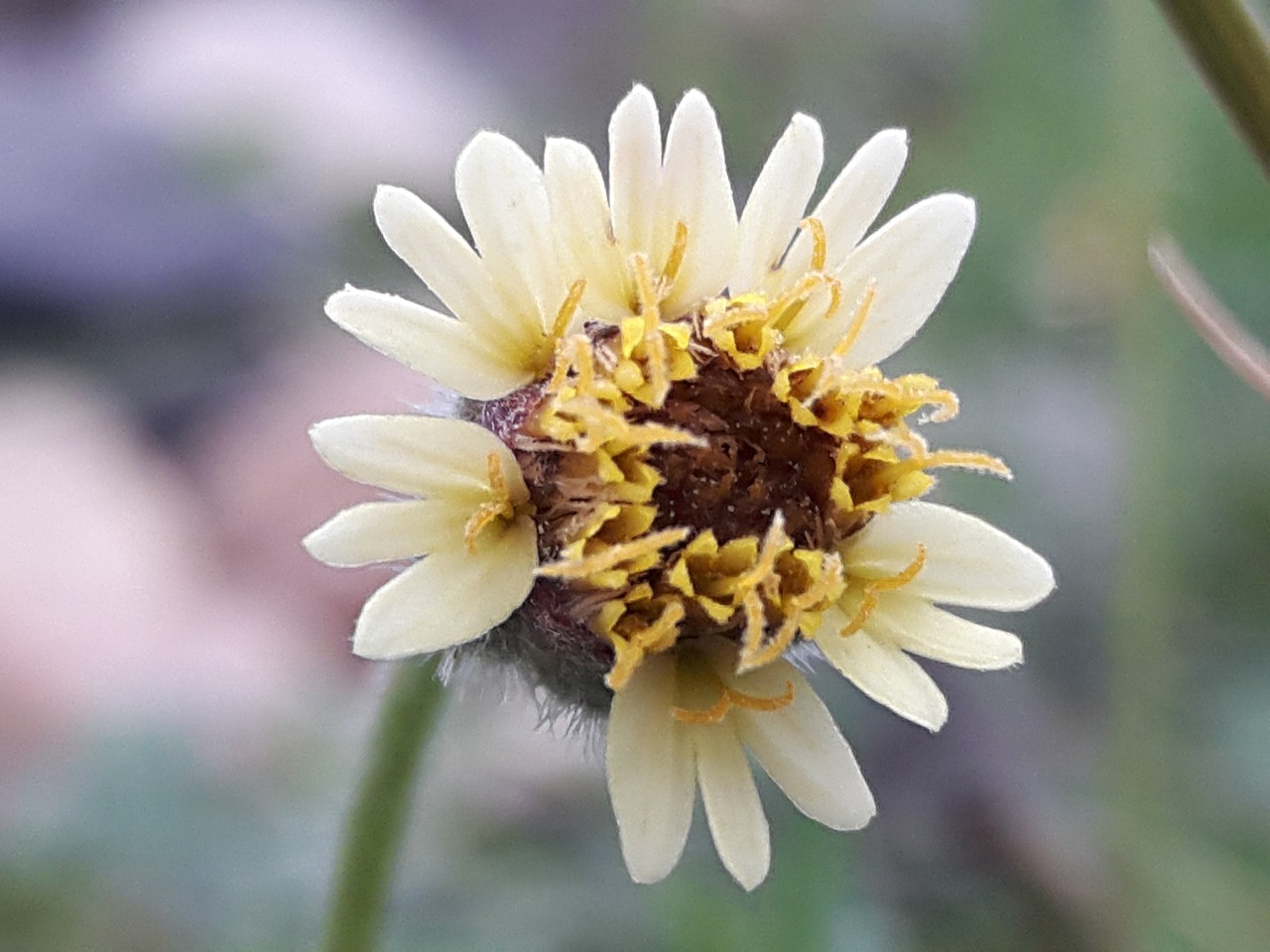 烏市地鐵招工最新動態(tài)，城市軌道交通建設中的機遇與挑戰(zhàn)并存