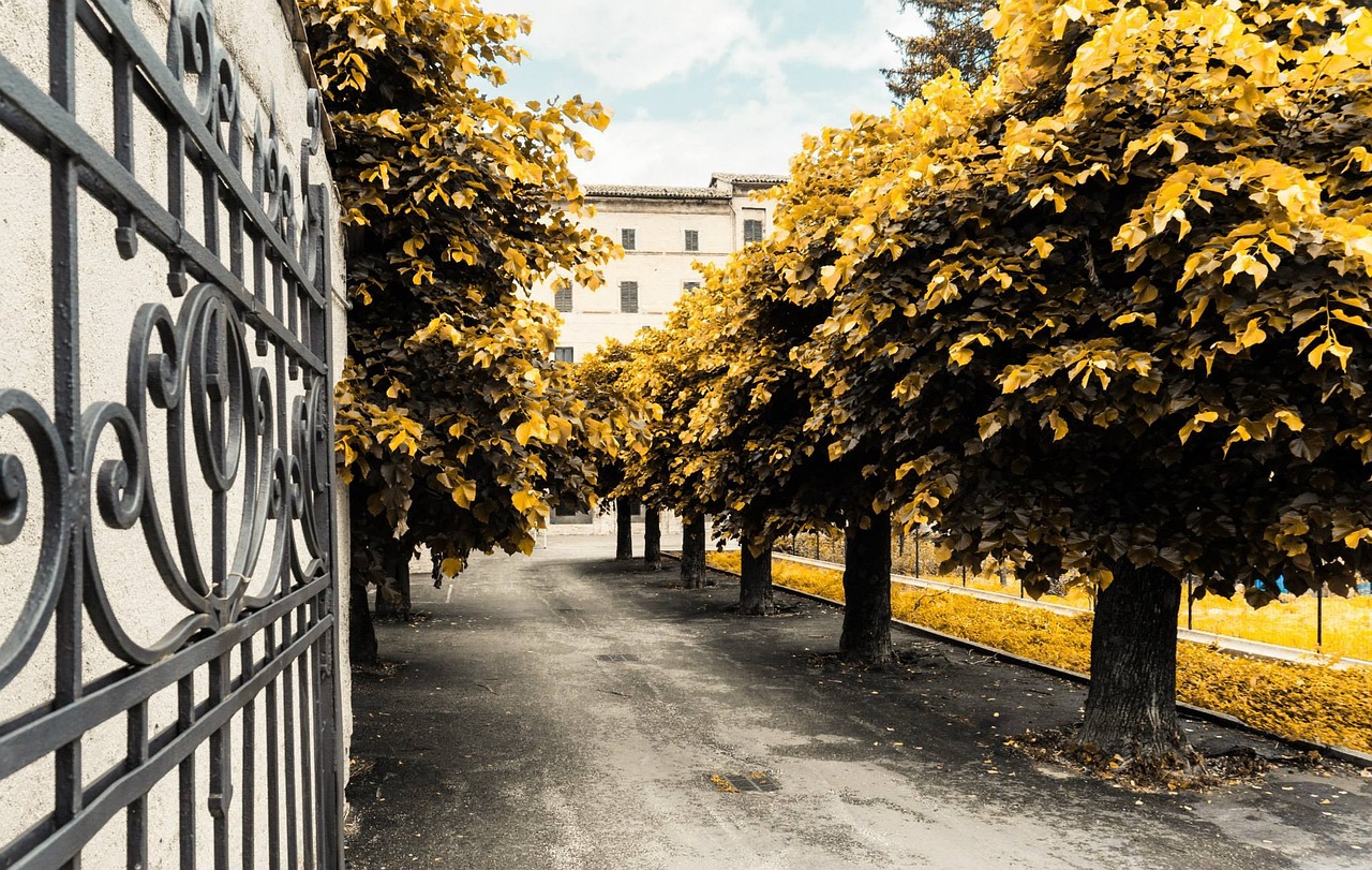 葉榭大型社區(qū)打造現(xiàn)代化新城，宜居宜業(yè)最新進(jìn)展消息