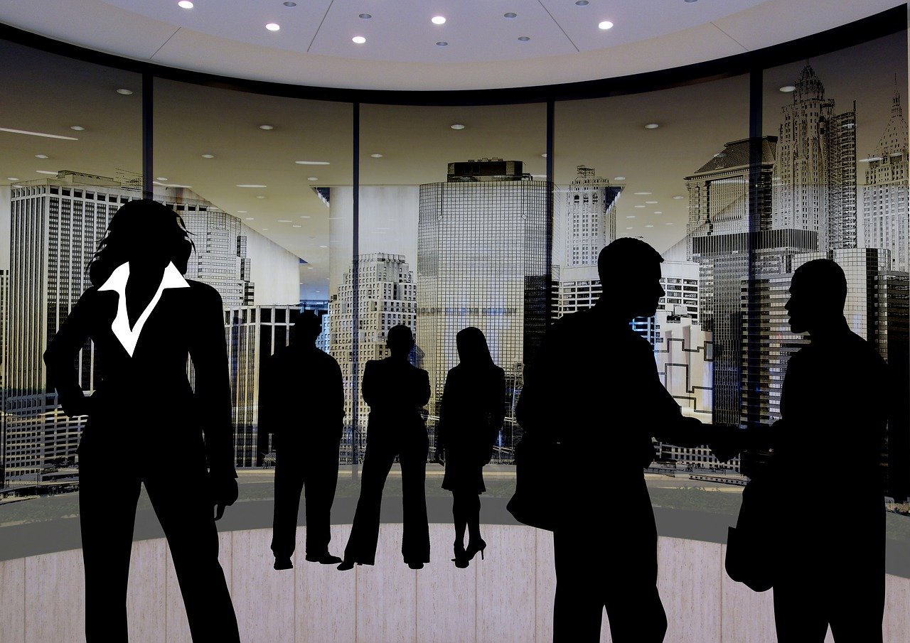 陸良最新人事任免動態(tài)及解析，2016年人事調(diào)整概覽