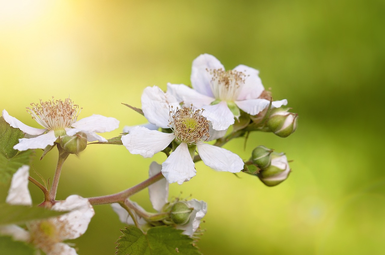 王寶強與馬蓉的最新動態(tài)，情感糾葛與人生的新篇章