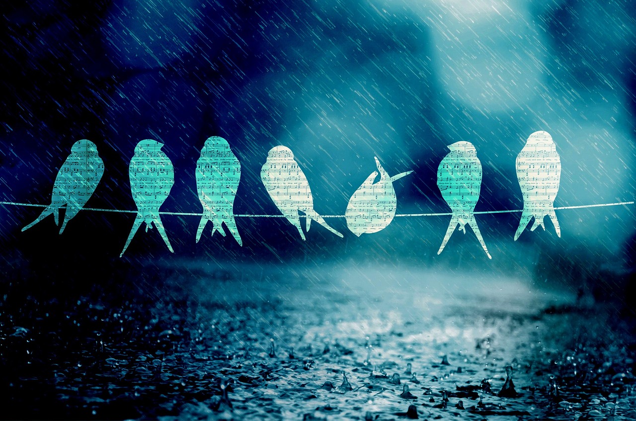 新鄉(xiāng)李寶琴，音樂中的勵(lì)志人生最新消息