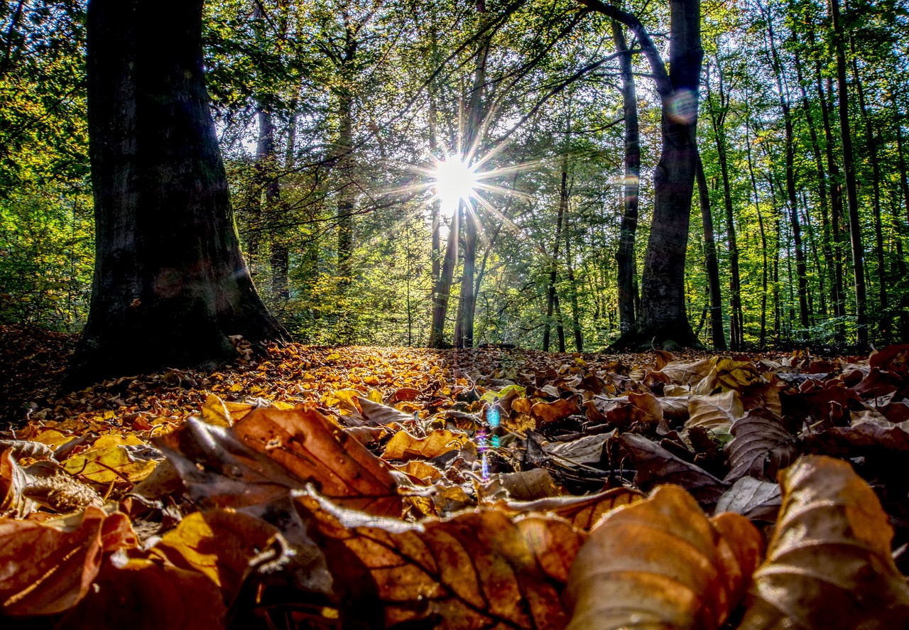 古劍奇譚三最新動(dòng)態(tài)揭秘，新內(nèi)容、玩法與體驗(yàn)全解析