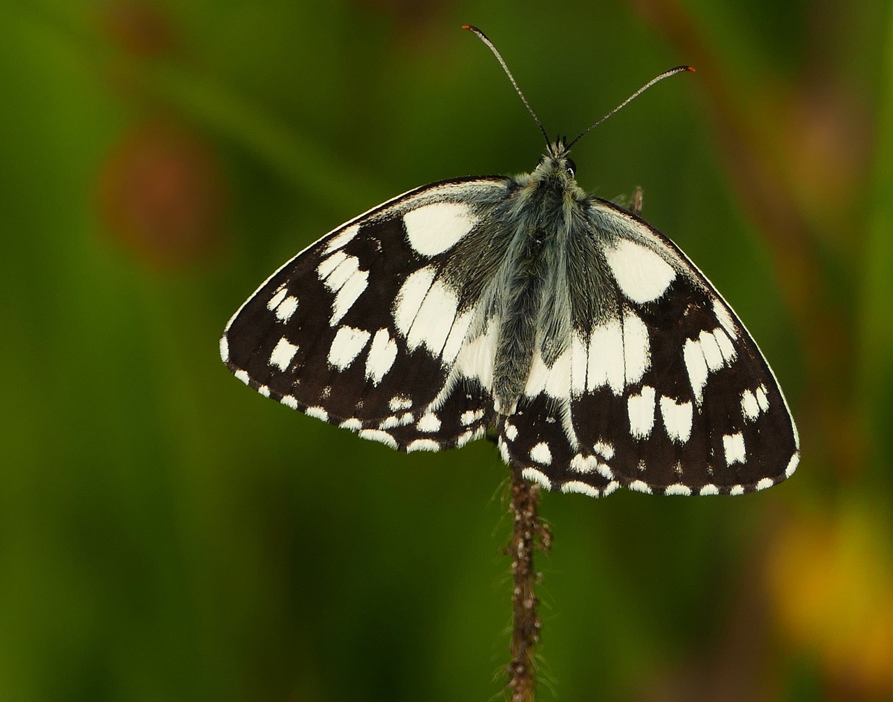 容縣二手房最新信息概覽，最新房源、價格及交易動態(tài)一網(wǎng)打盡！