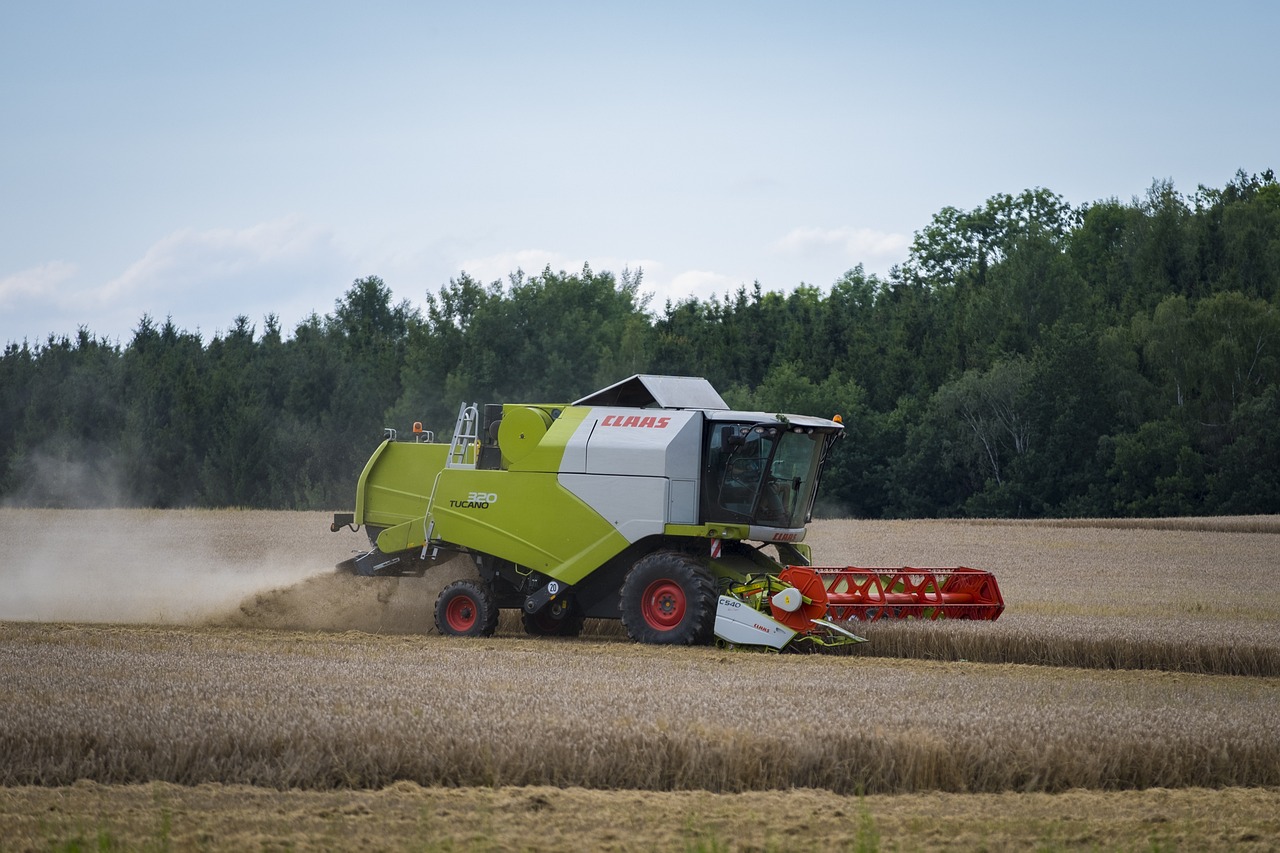 最新小吃食品機(jī)械設(shè)備，提升生產(chǎn)效率與品質(zhì)的核心利器
