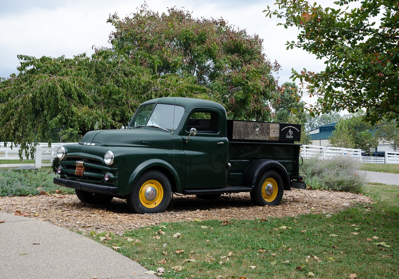 豪門又一城最新動(dòng)態(tài)，揭開未來繁榮序幕的揭秘消息