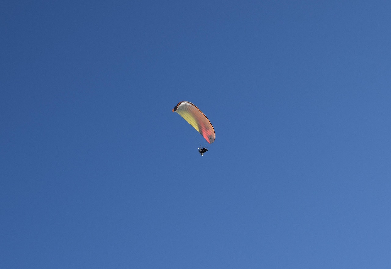 言清歡 第17頁(yè)