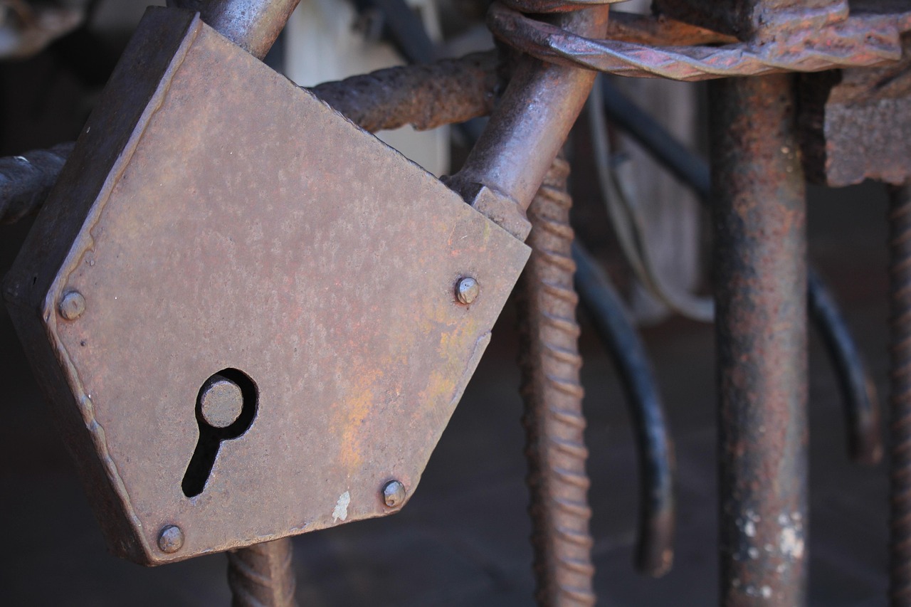 廣東省黨代會最新動態(tài)，新時代的新征程啟航