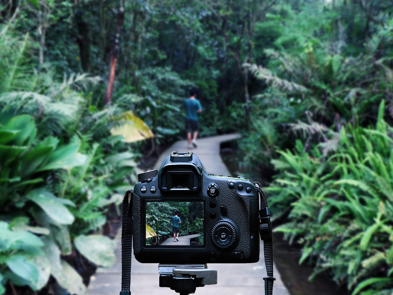 灌南高鐵站最新消息深度解析，最新動(dòng)態(tài)與進(jìn)展